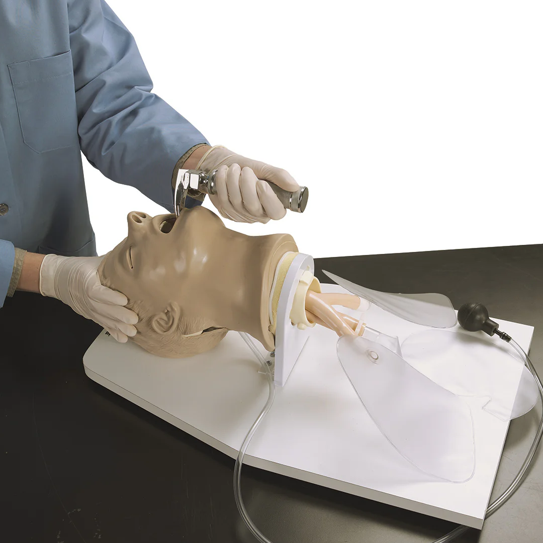 Airway Larry': Adult Airway Management Trainer with Support