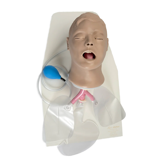 Entrenador 3B Scientific- Airway Larry, de gestión de las vías respiratorias para adultos con soporte